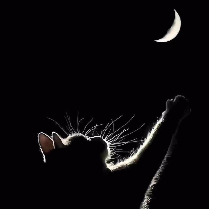 久月❤︎↷☀︎