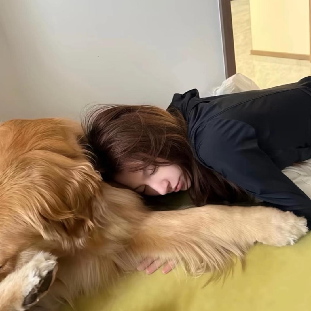 不吃笨鱼u