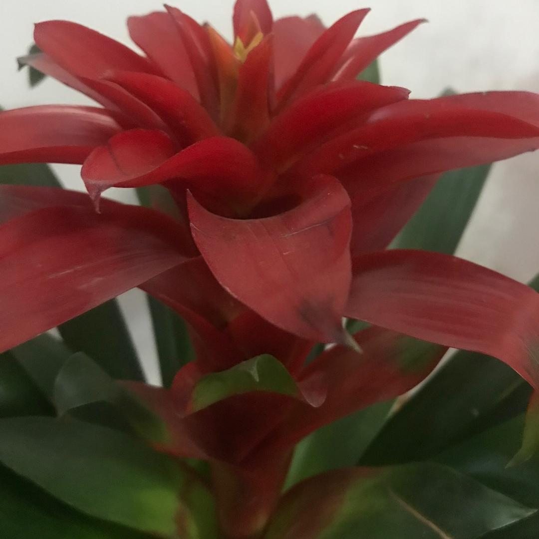 草长莺飞