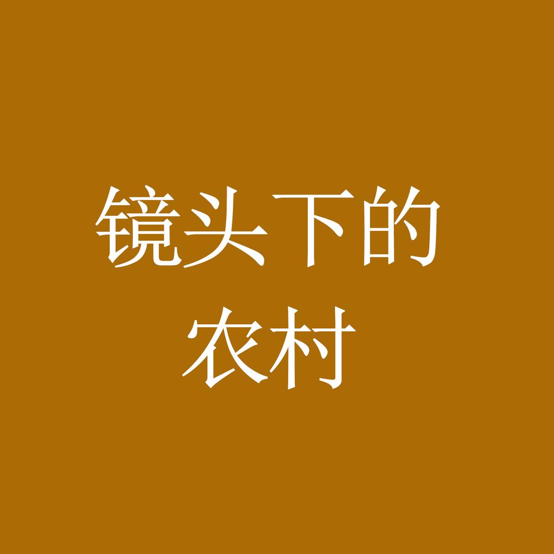 镜头下的农村(助农)