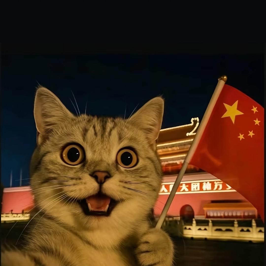 是岳岳不是月月