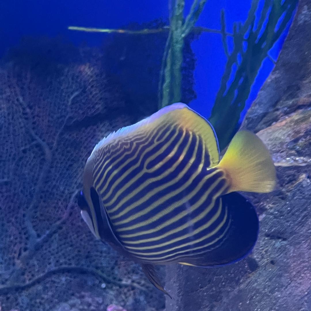 煜煜宝贝