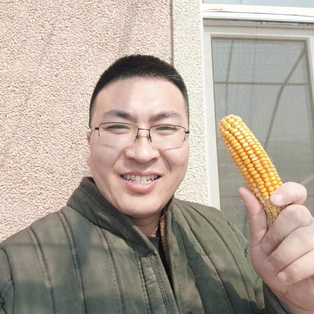 大果很正经儿