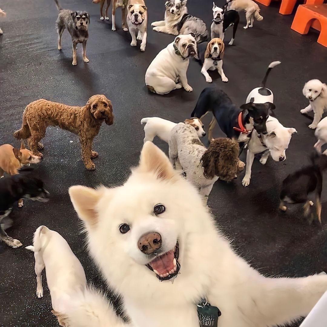 放假就想出去玩🇨🇳