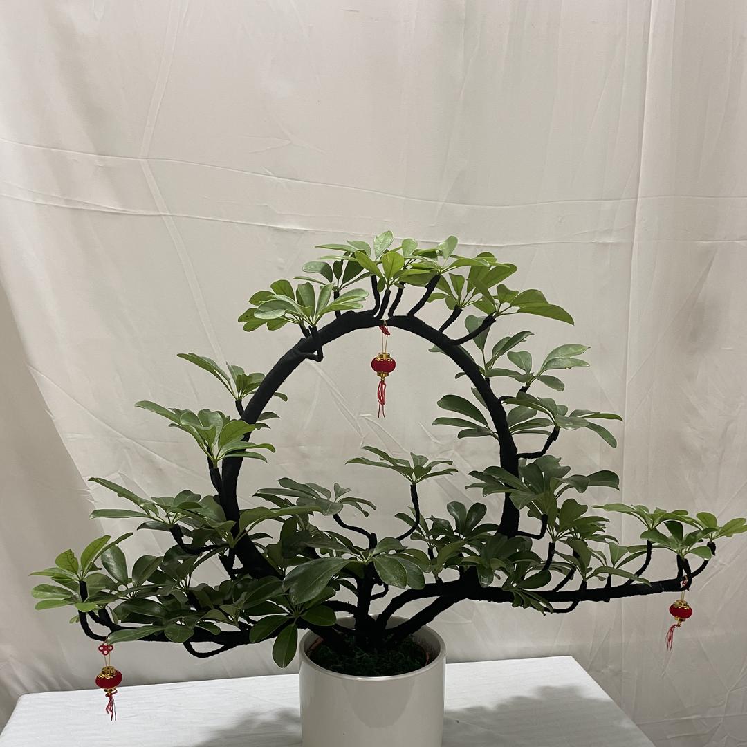 岚鸿绿植花卉