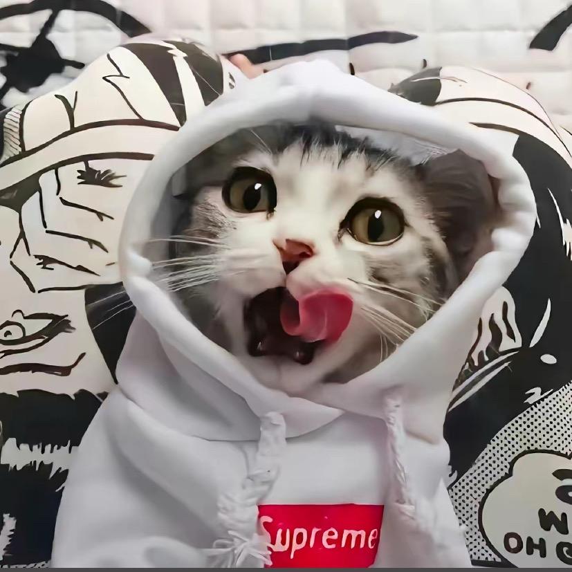 aaaa.jing (๑⁼̴̀д⁼̴́๑