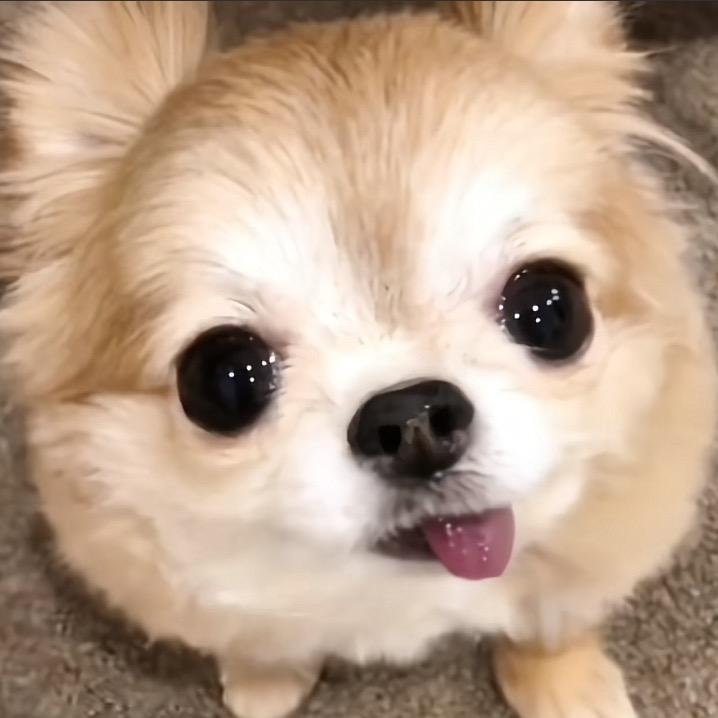 小uu欣