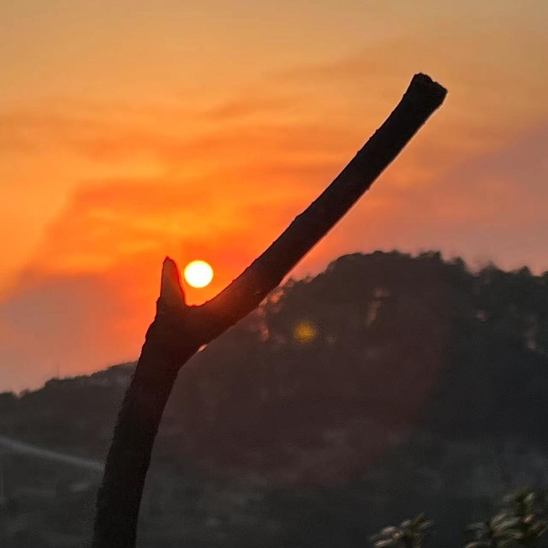里手馄饨（城南一中店）