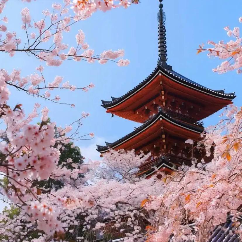 十八番日语教室