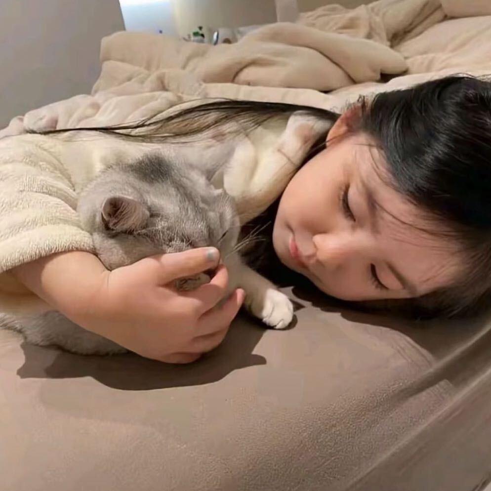 姜涵