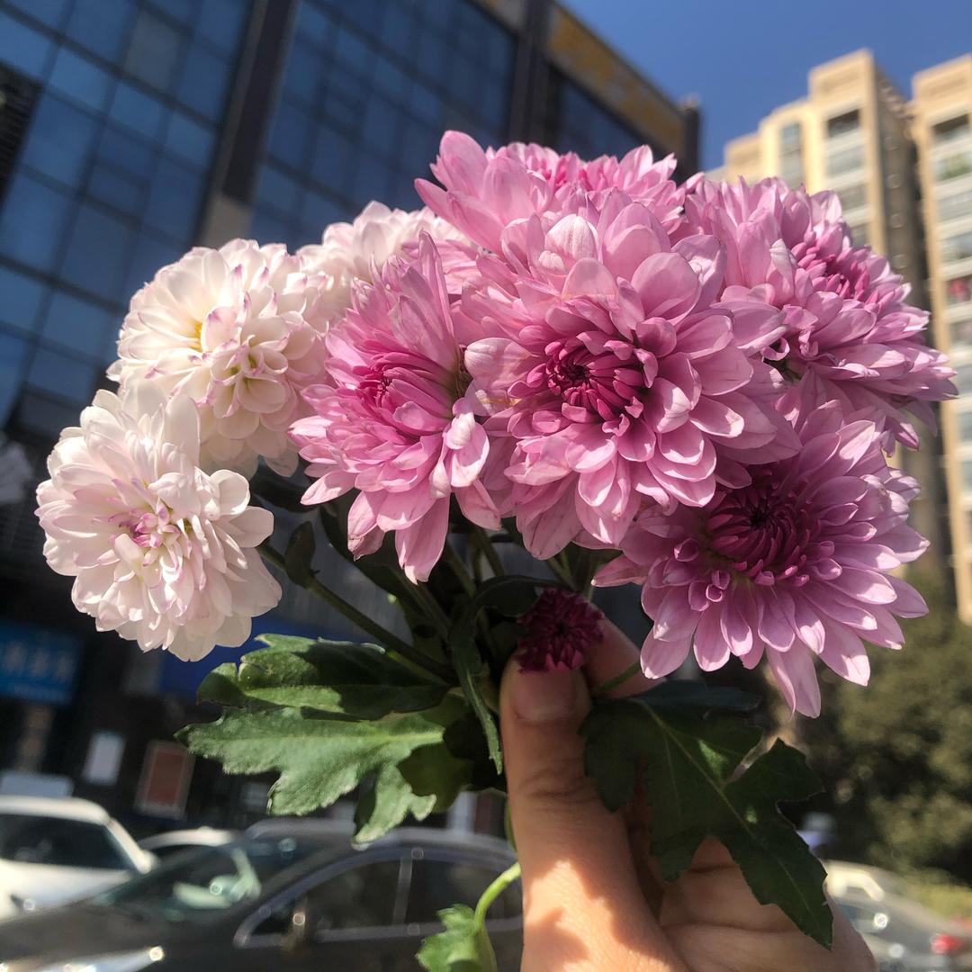 康仁堂筋肩颈腰腿痛官方号