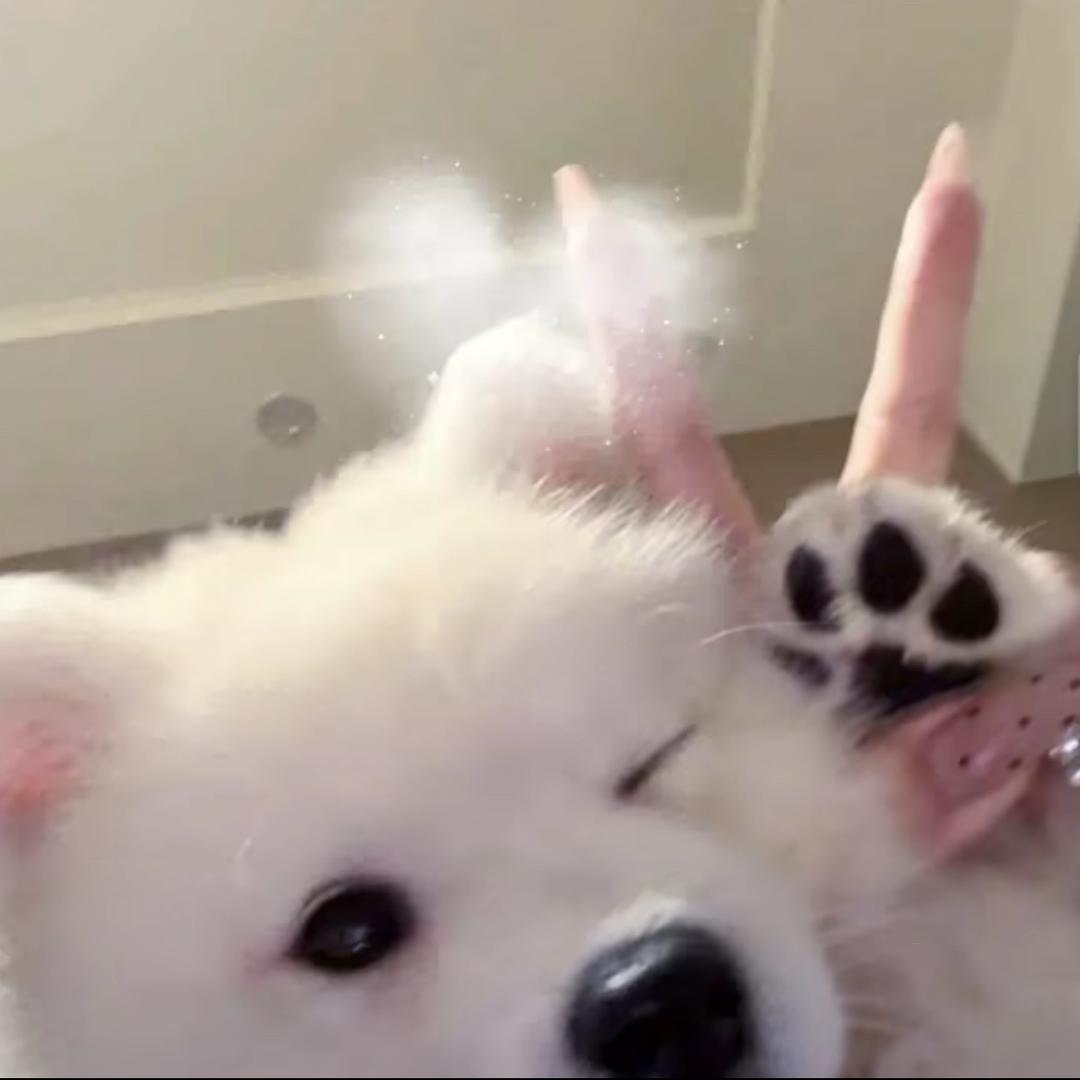 🎀/.