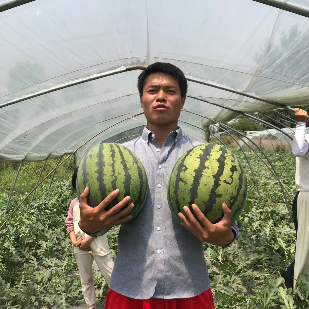 柒喜水果