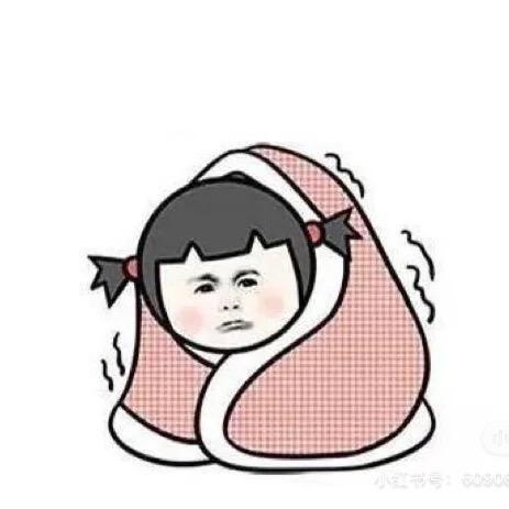十一