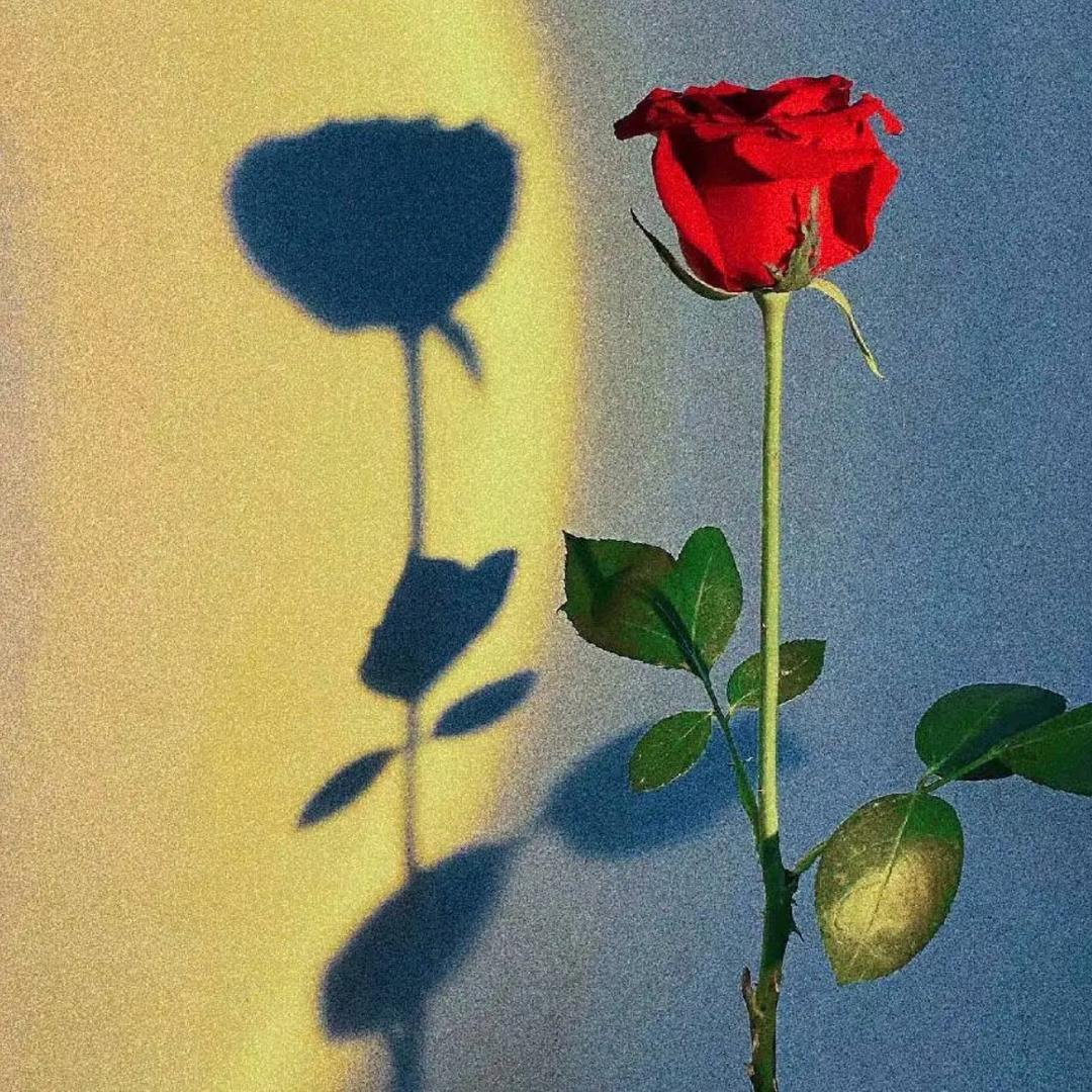 晚吟.