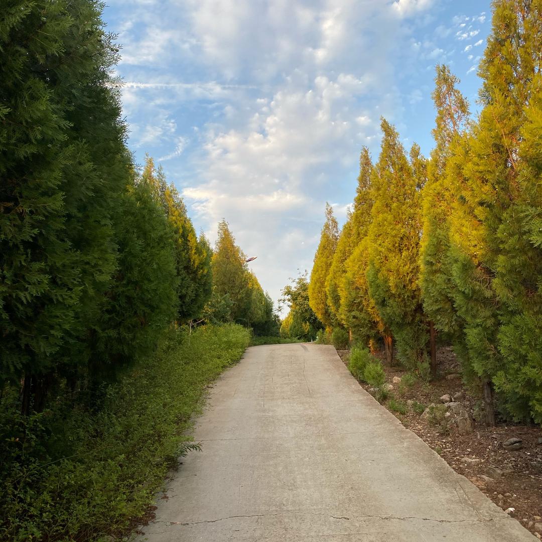 单片机FPGA硬件设计