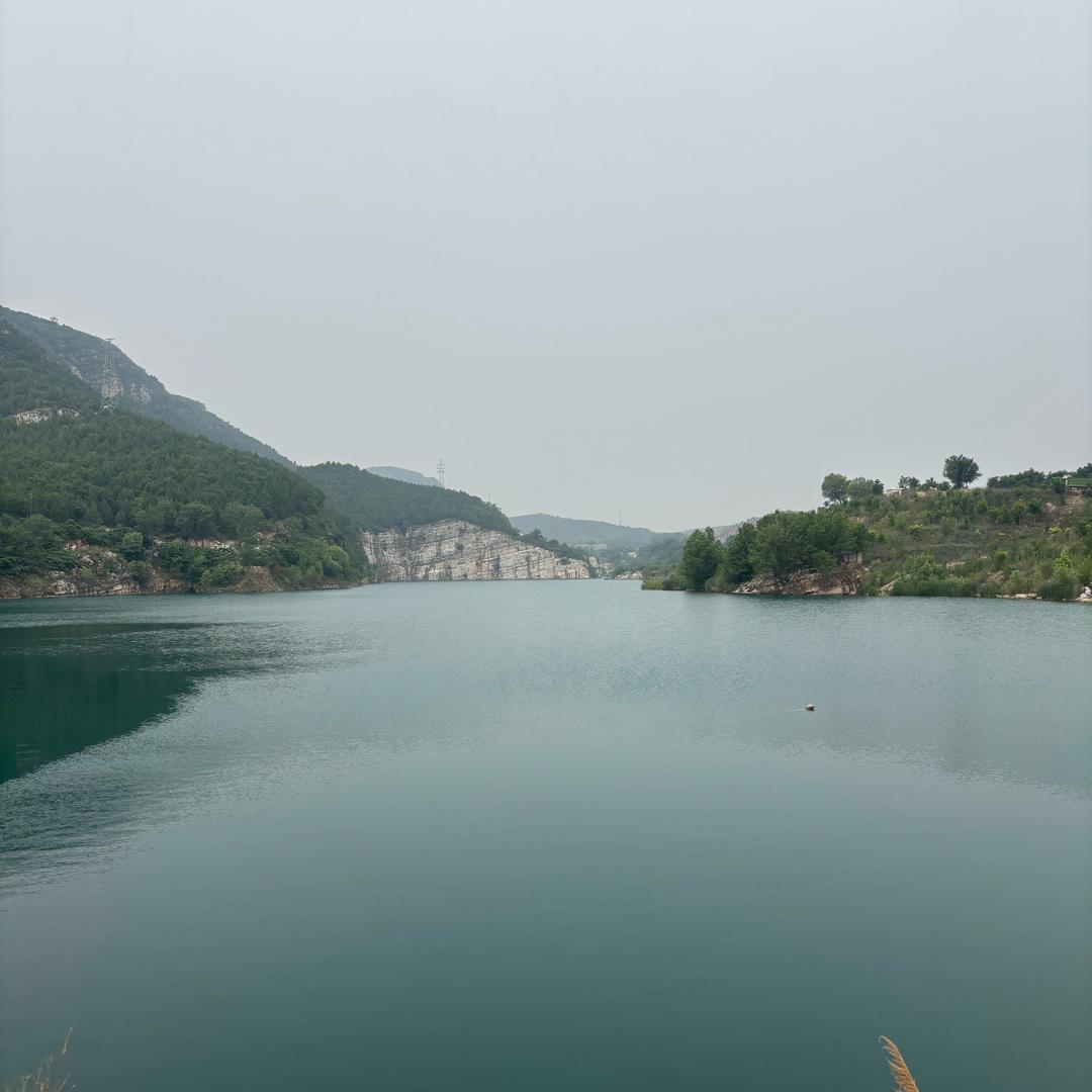 小灰灰