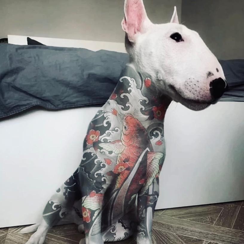 刀