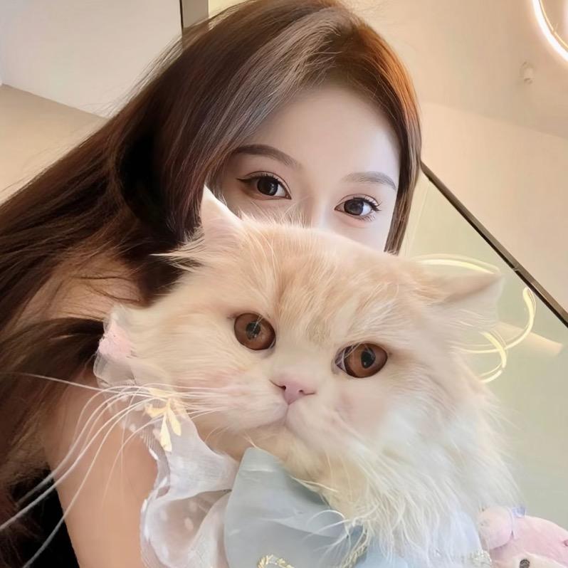 🧸