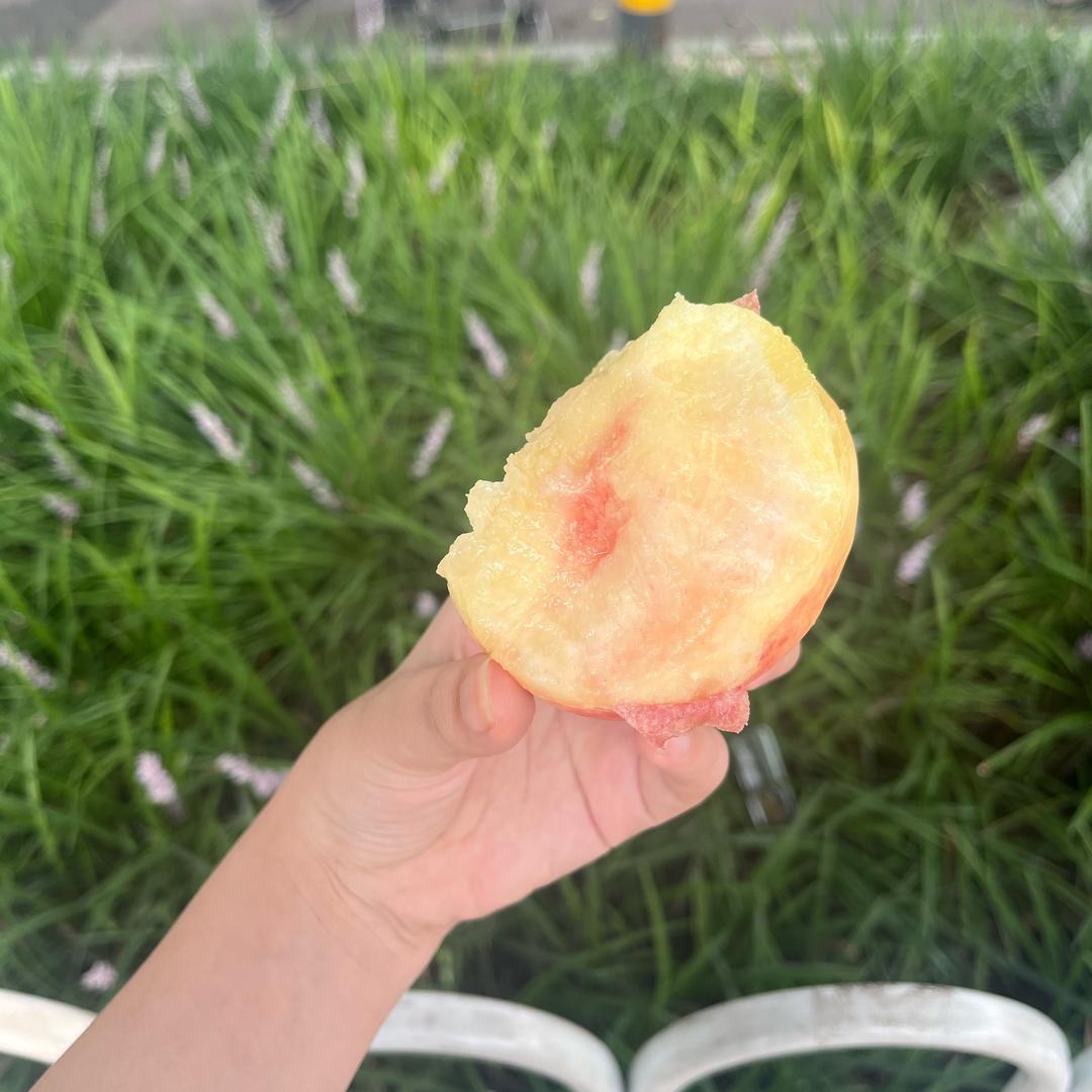 趙小苍（大额头有福气版）