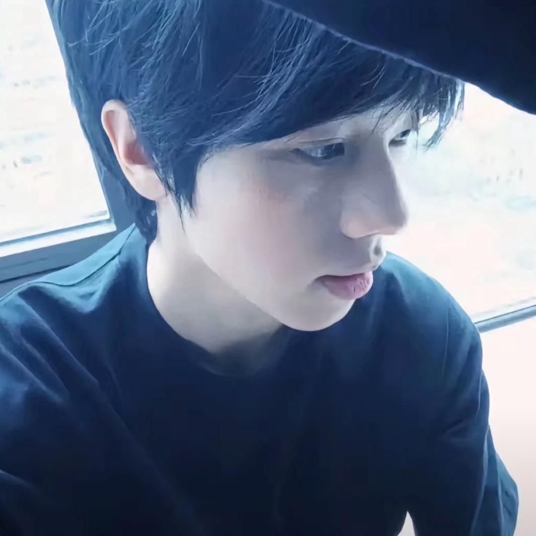 一根忧郁的猫毛