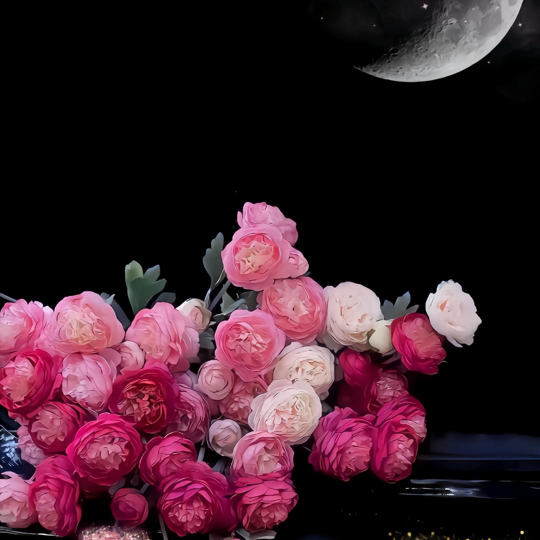 ￴￴   ￴ ￴ 涐淑寞嘘悾失落: