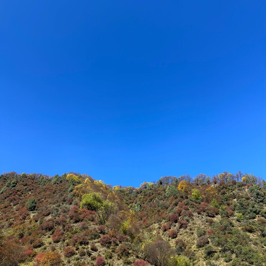 海石湾柒牌男装小黄