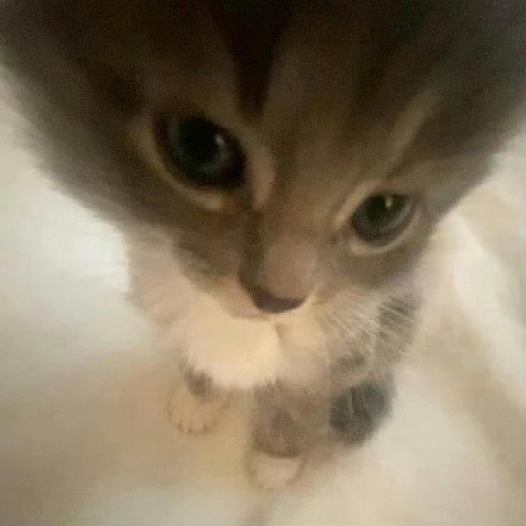 椰子