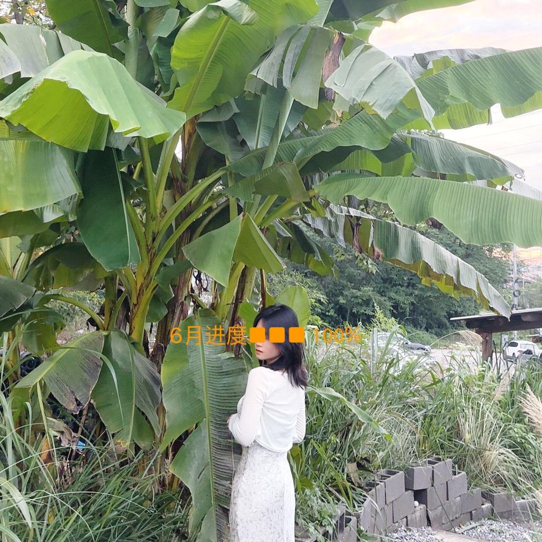 会唱歌的瑶