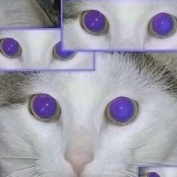 人