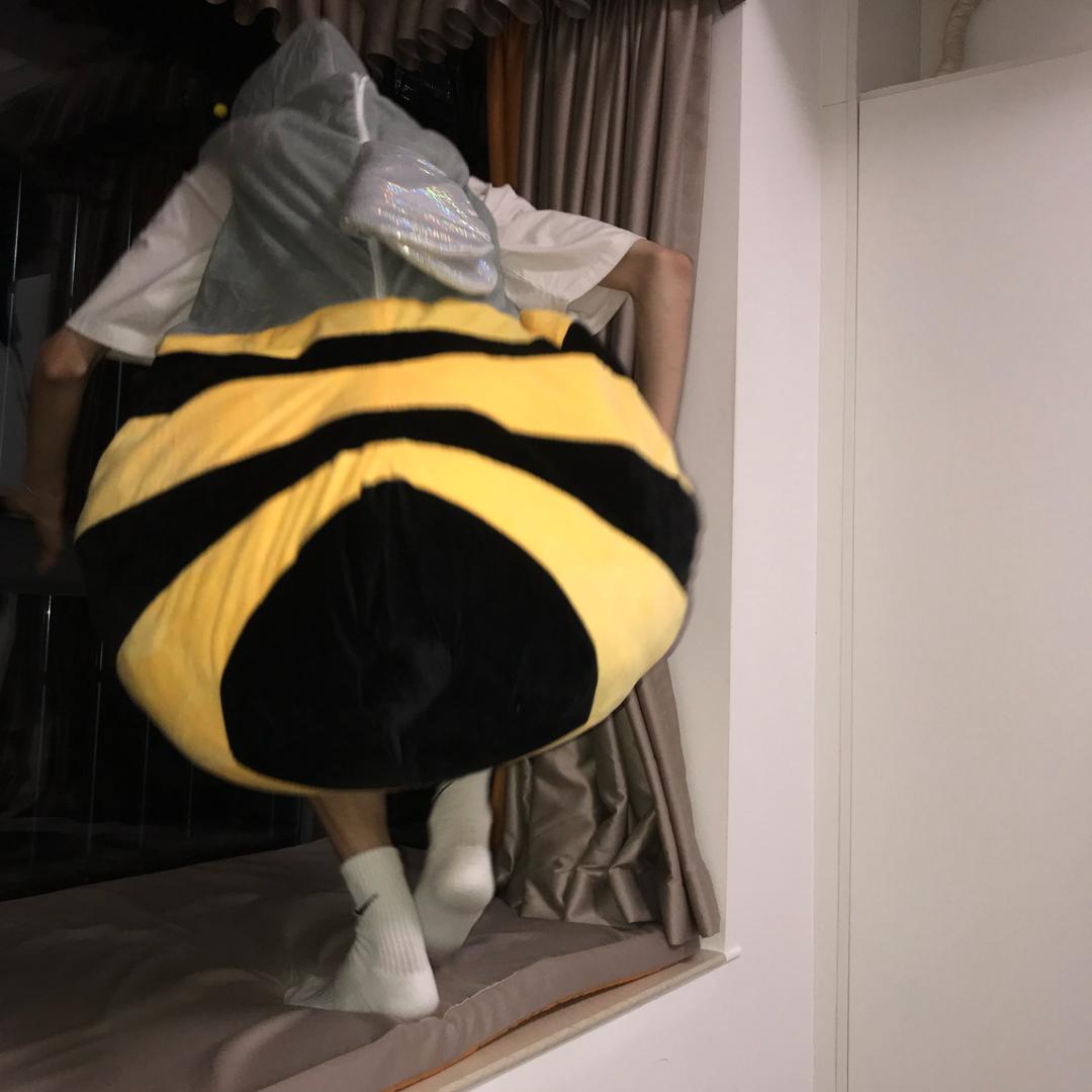 圆子她爹