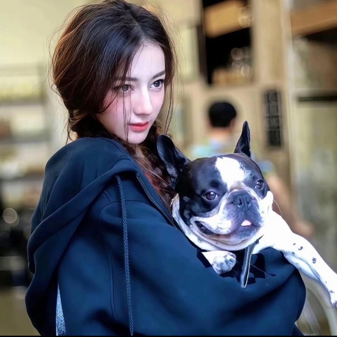 发发菜