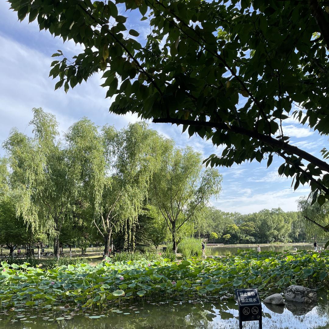 西安晓风房地产咨询服务部