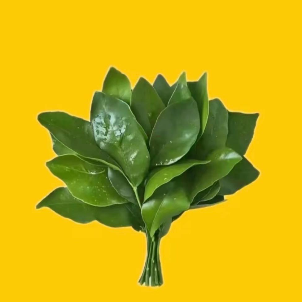 Fortune_o