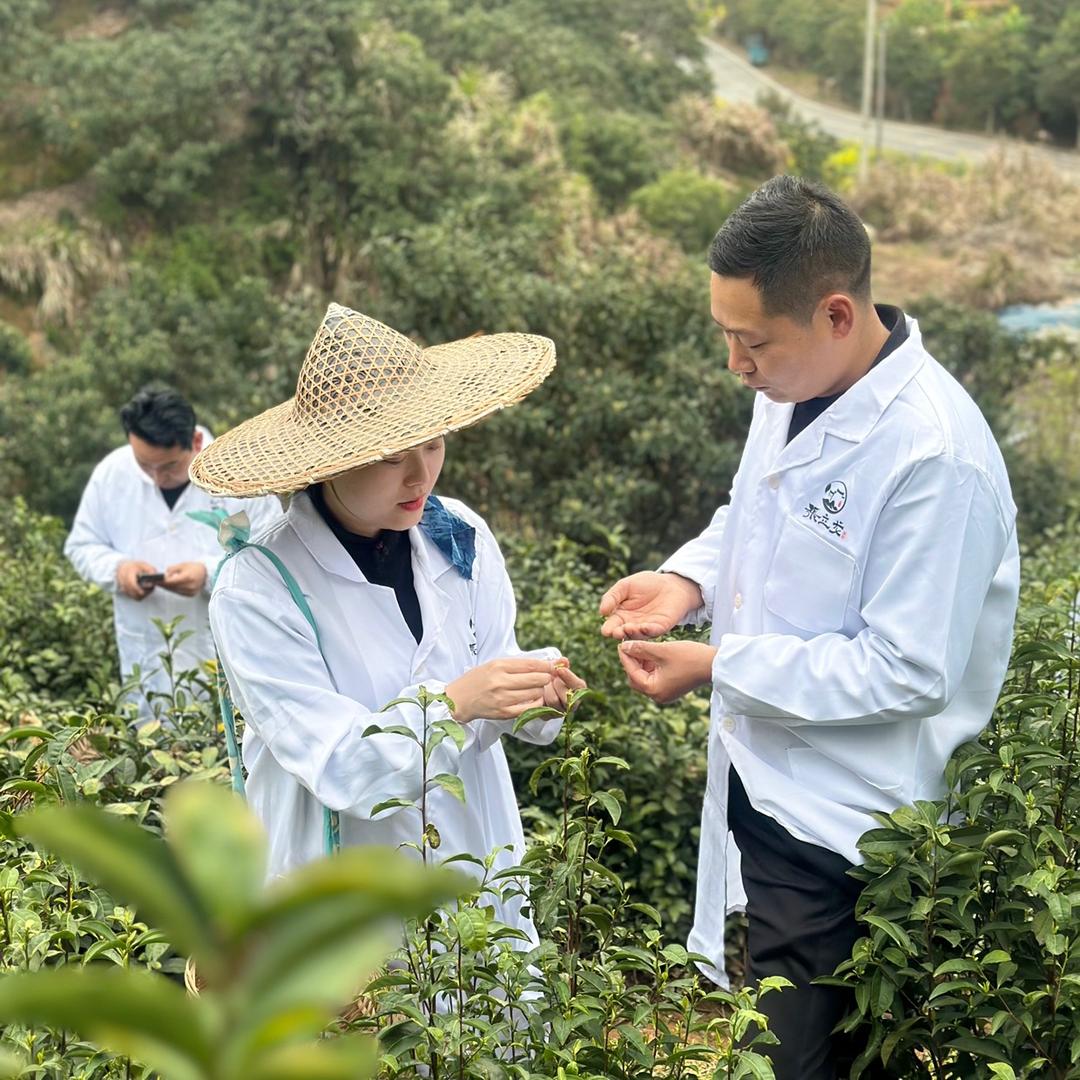 张立龙茶记