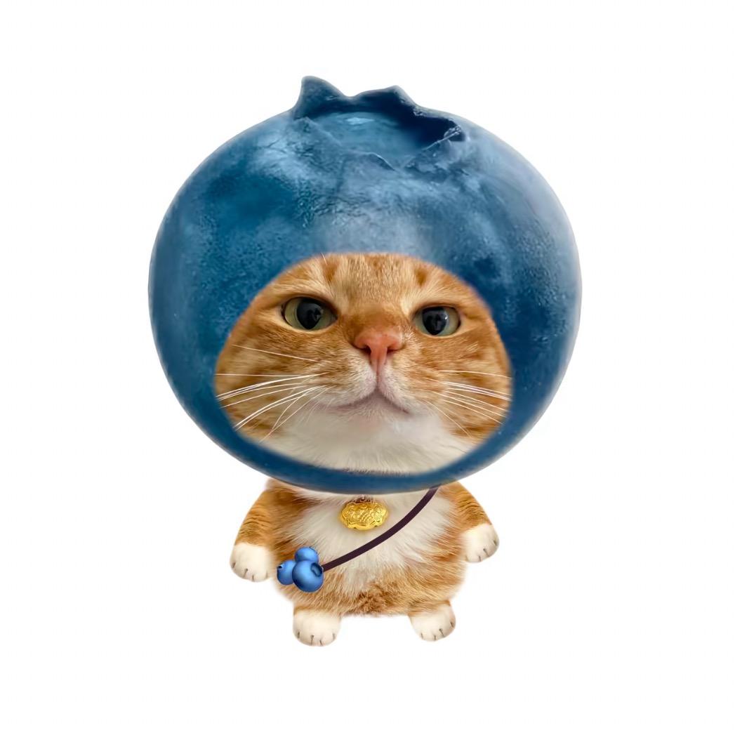 哈基松
