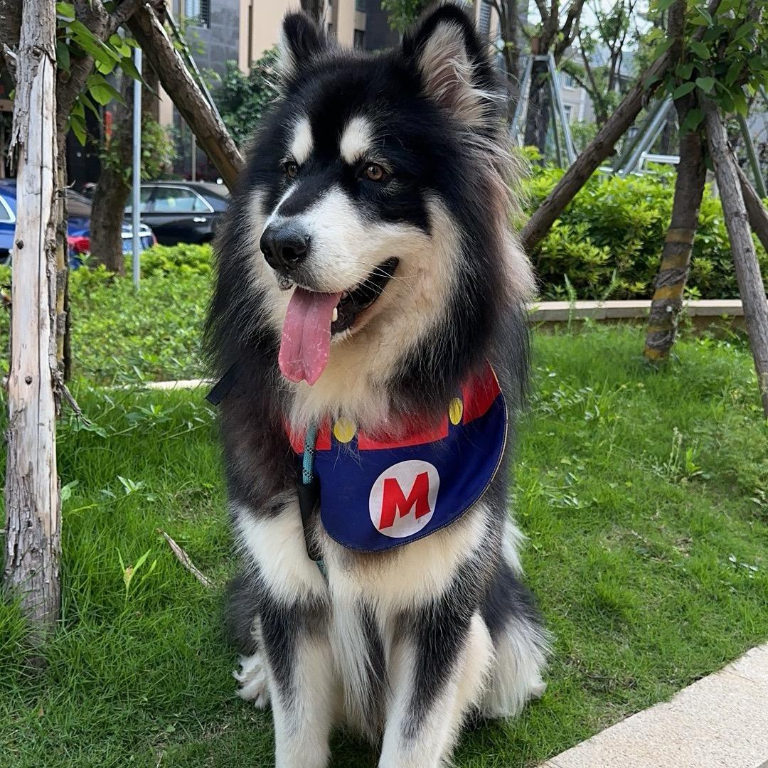 million潮玩铺2店