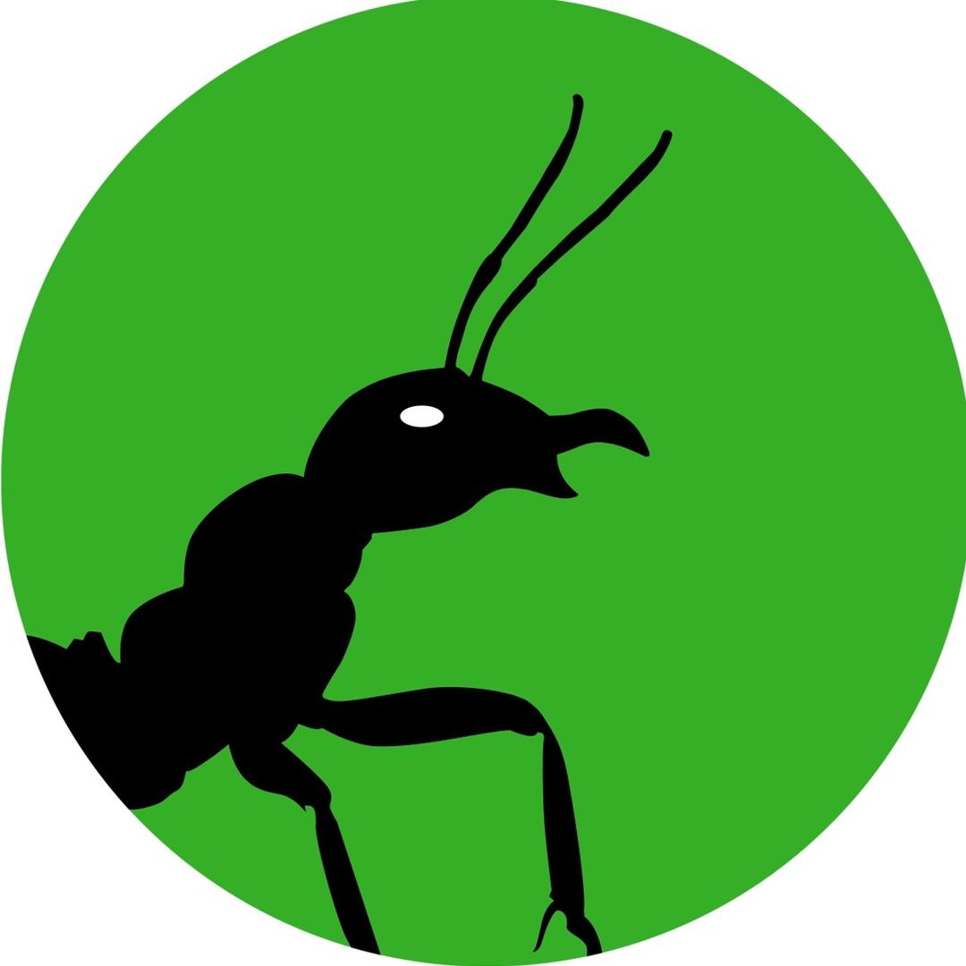 阿韬ANTS