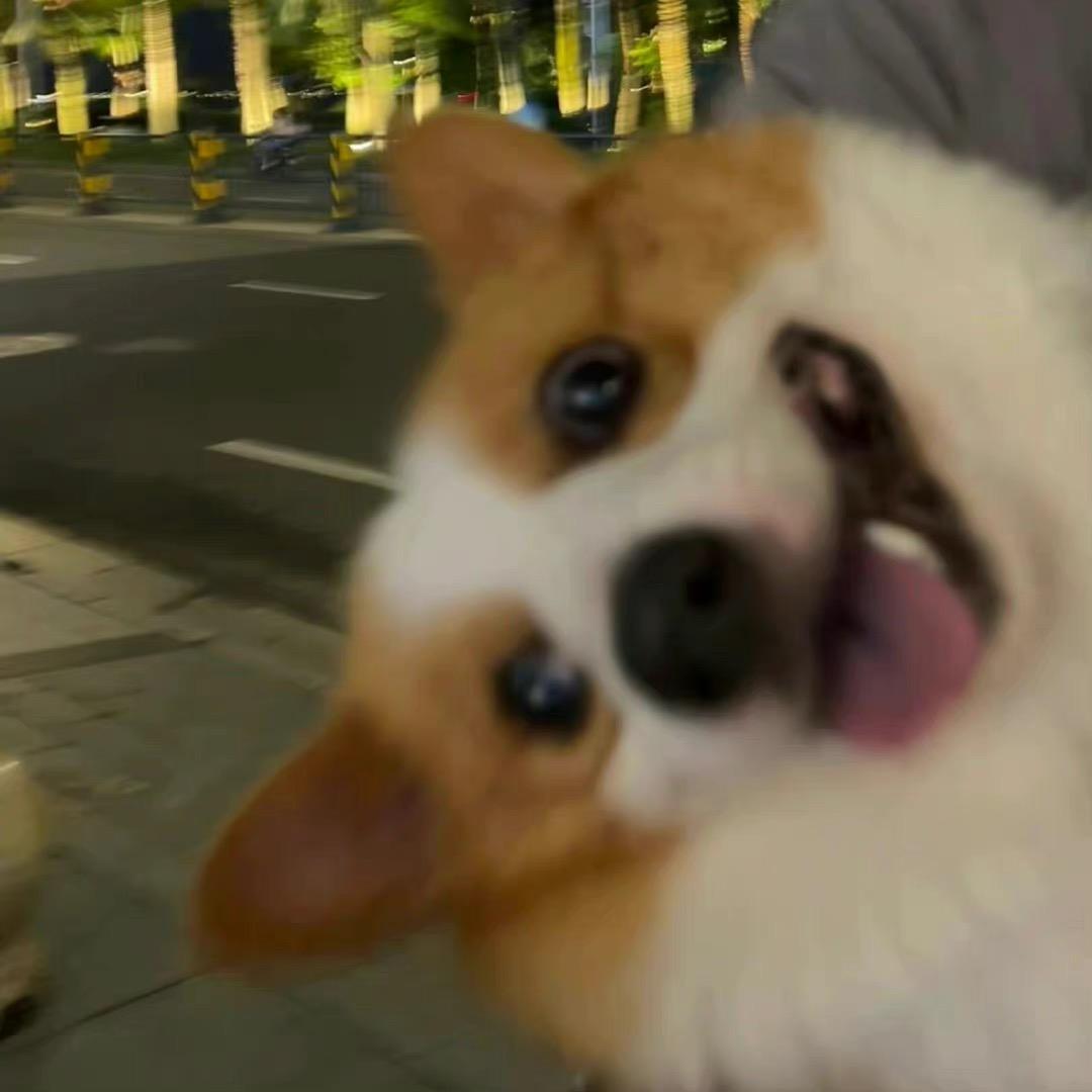 对方正在长头发