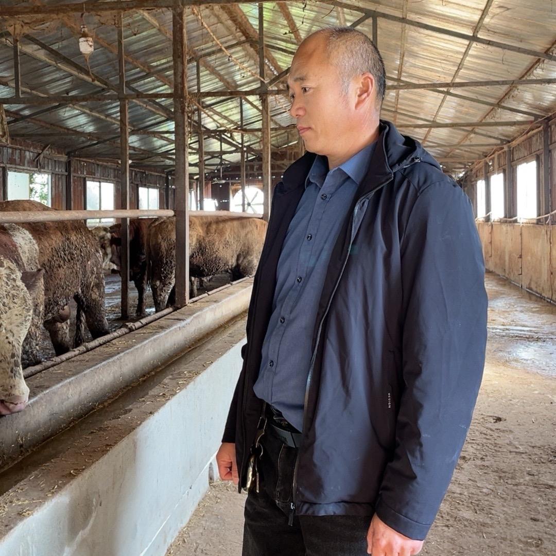 立盛黄牛肉（老营村运营管理）