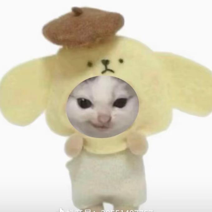 小施睡不醒💤（私信被封版）