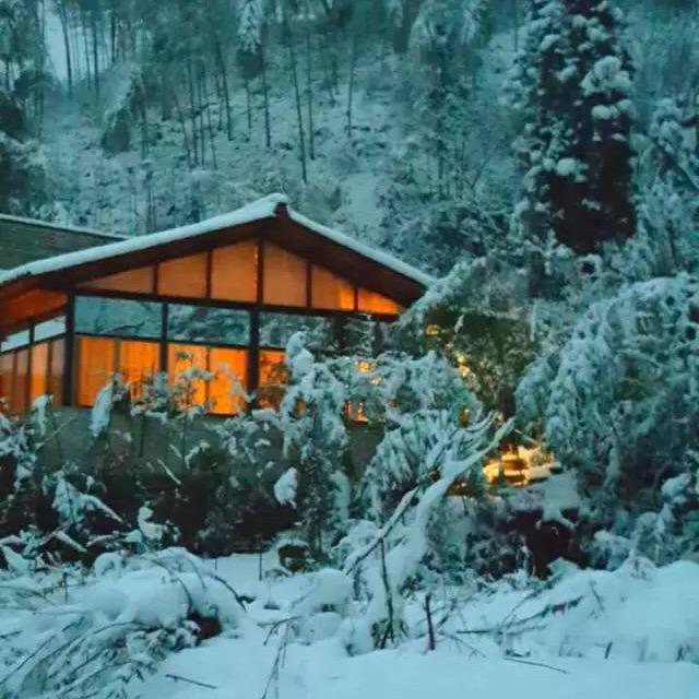 尘与雪