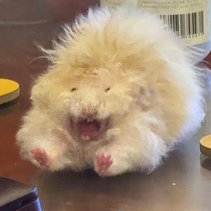 鼠鼠