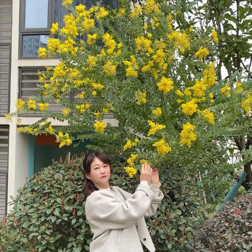 LUCK小幸运