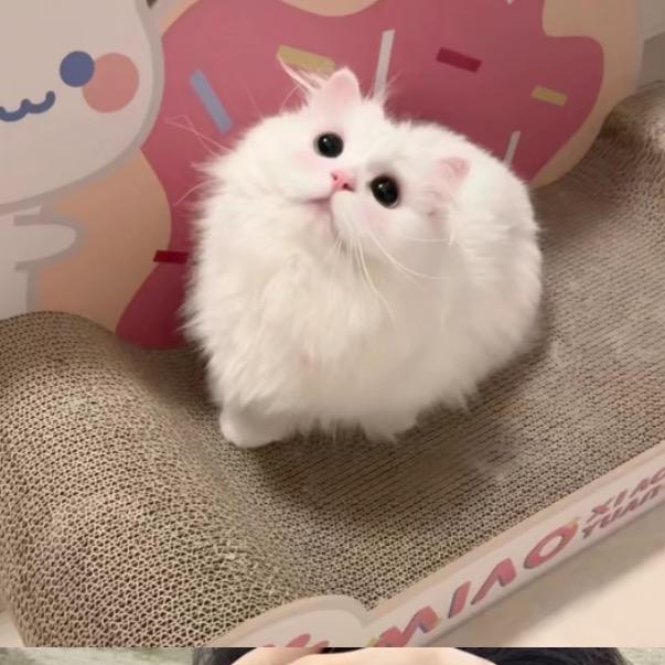 Ooooooo