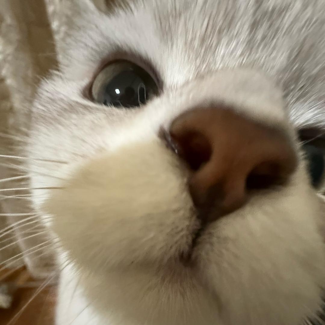 早早早_💙