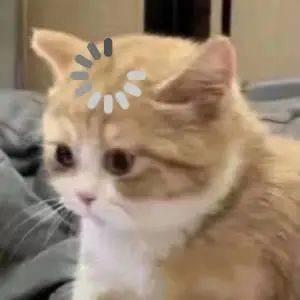 明早喝粥头像