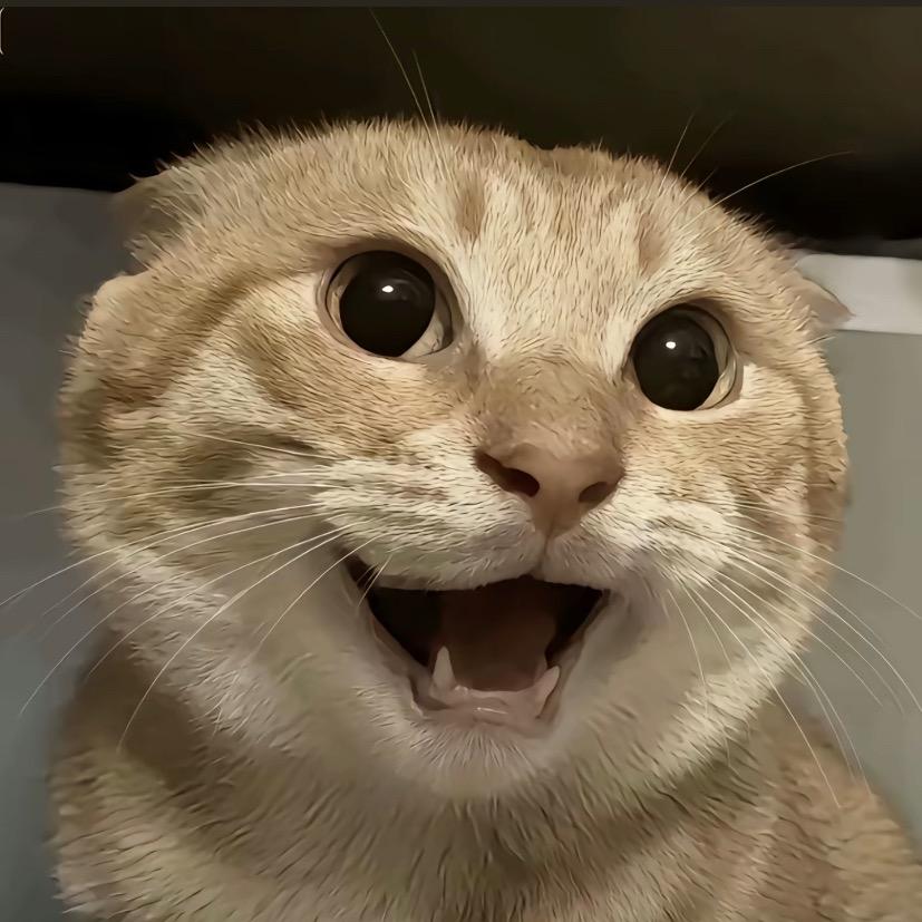 🌈林子枫（三角洲跑刀）