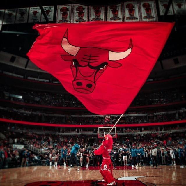 Bulls
