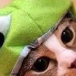 思宇